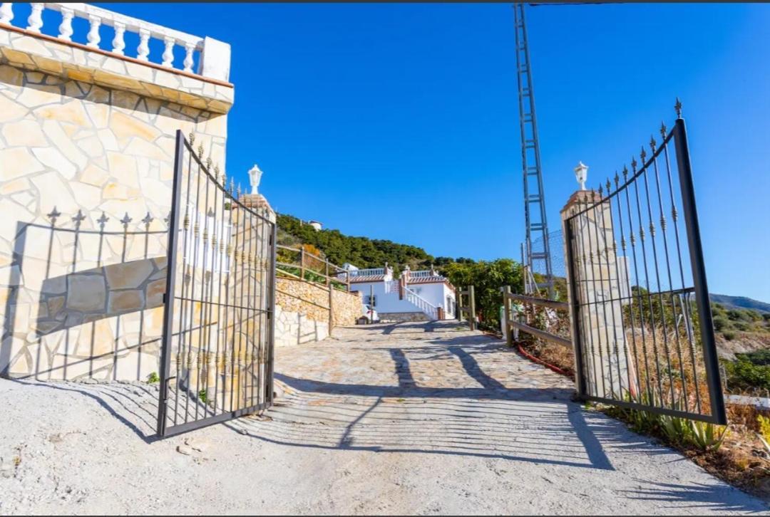 Arylex * Torrox
