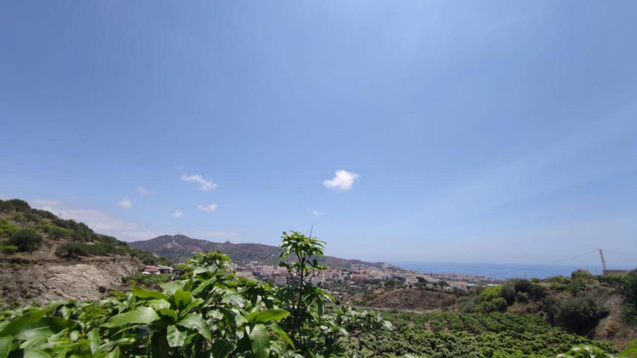 Arylex Villa *